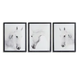 WILD HORSES PHOTOGRAPHIC PRINTS, SET OF 3